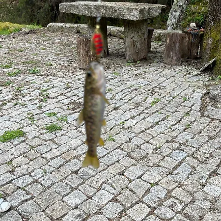 Moinho De Briao * Travassos da Cha